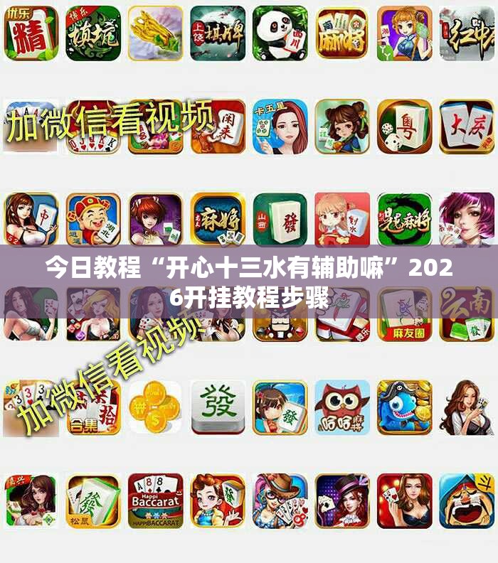 今日教程“开心十三水有辅助嘛”2026开挂教程步骤