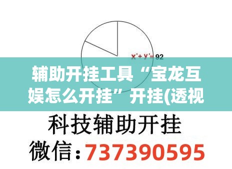 辅助开挂工具“宝龙互娱怎么开挂”开挂(透视)最新辅助详细