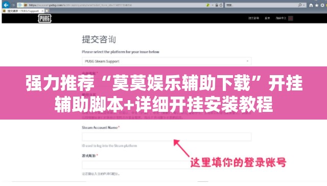 强力推荐“莫莫娱乐辅助下载”开挂辅助脚本+详细开挂安装教程