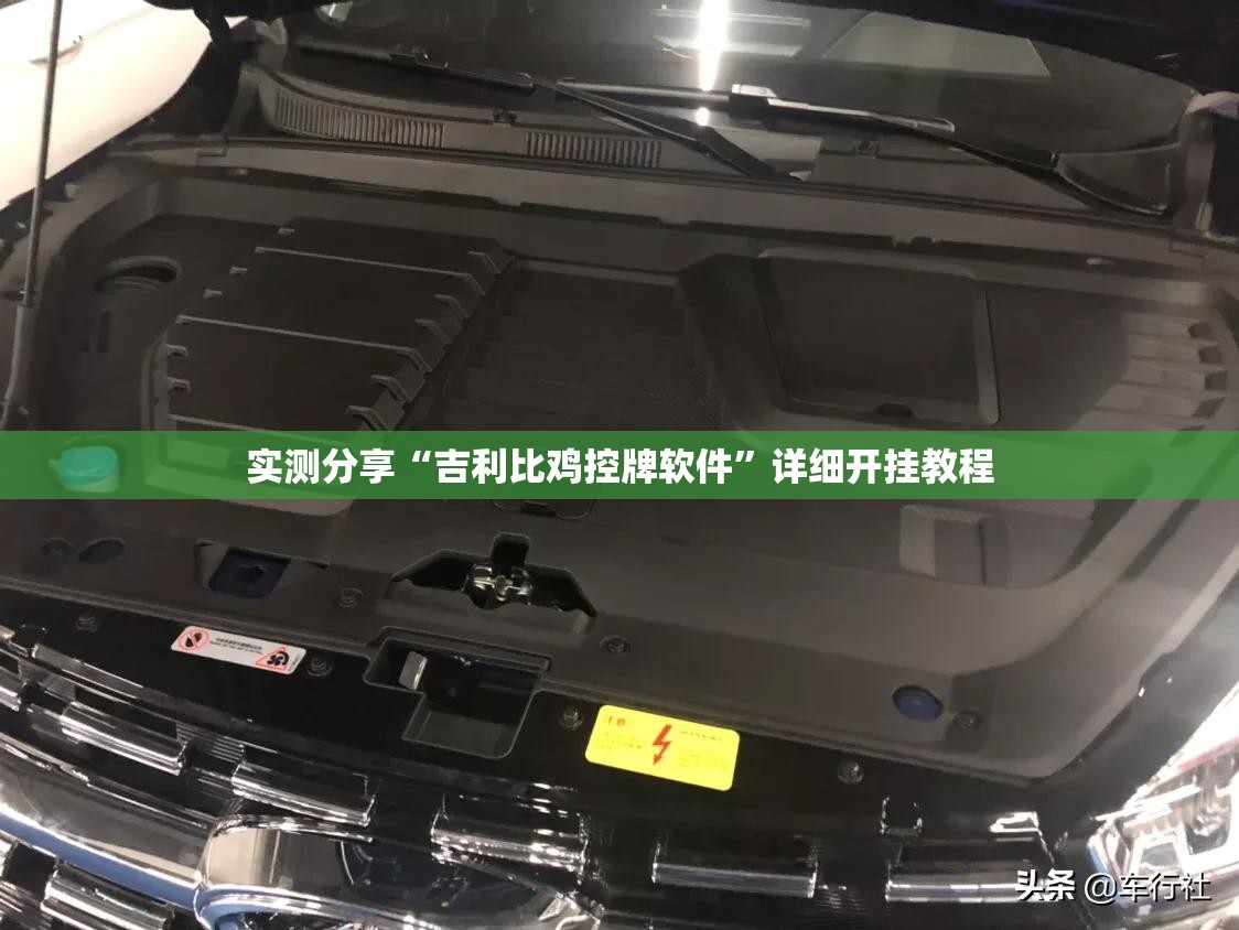 实测分享“吉利比鸡控牌软件”详细开挂教程