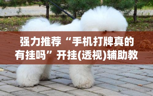 强力推荐“手机打牌真的有挂吗	”开挂(透视)辅助教程