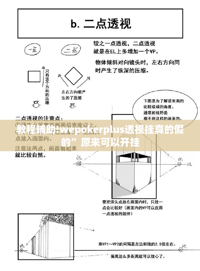 教程辅助!wepokerplus透视挂真的假的”原来可以开挂