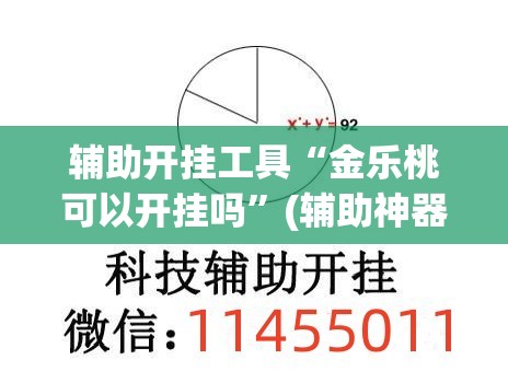 辅助开挂工具“金乐桃可以开挂吗	”(辅助神器)开挂详细教程