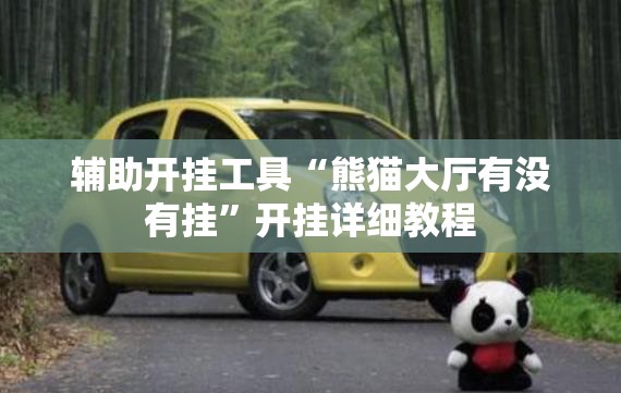 辅助开挂工具“熊猫大厅有没有挂	”开挂详细教程
