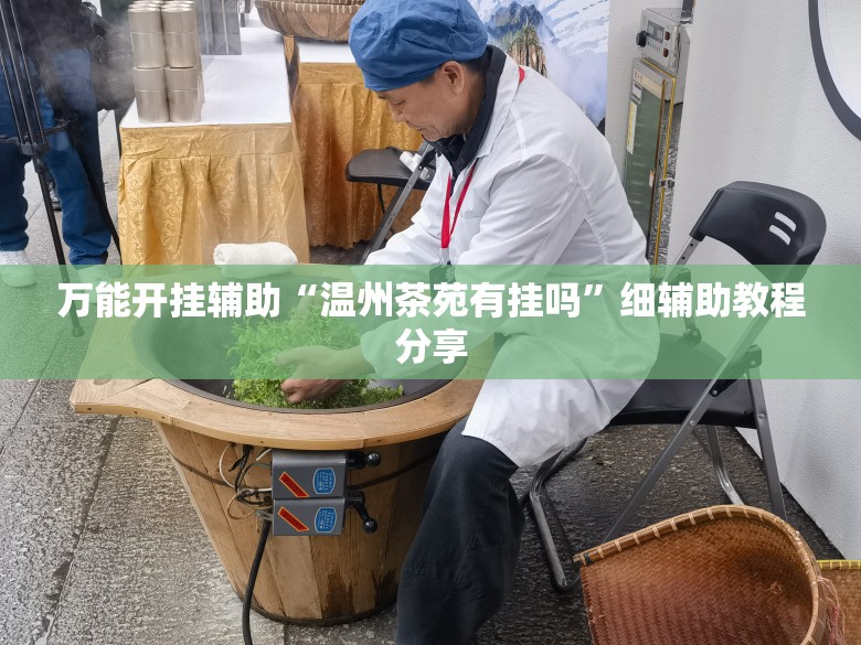 万能开挂辅助“温州茶苑有挂吗”细辅助教程分享