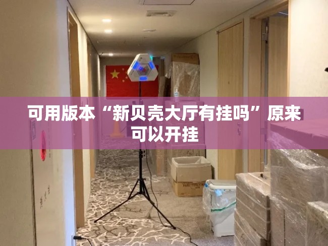 可用版本“新贝壳大厅有挂吗	”原来可以开挂