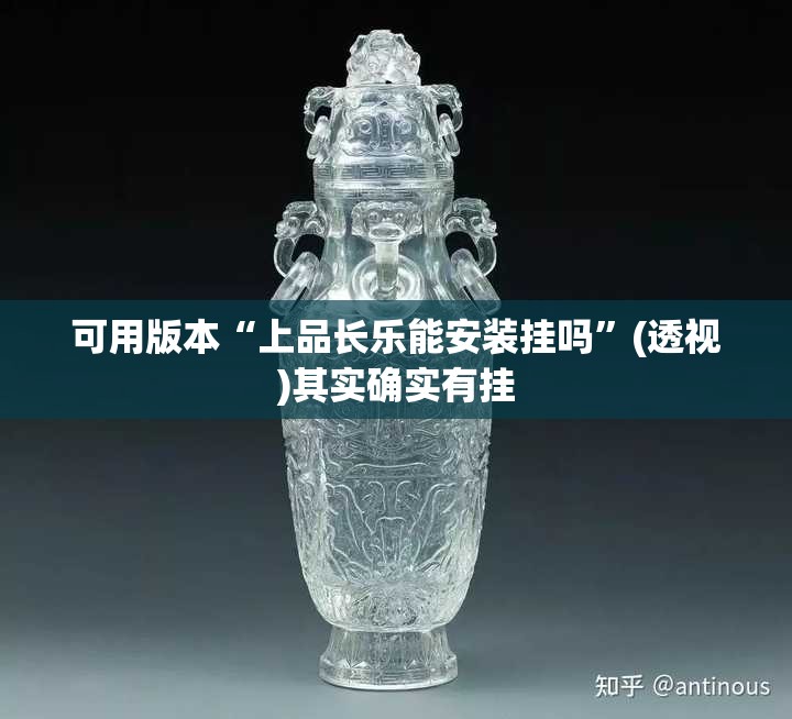 可用版本“上品长乐能安装挂吗”(透视)其实确实有挂