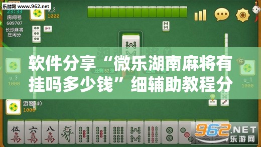 软件分享“微乐湖南麻将有挂吗多少钱”细辅助教程分享