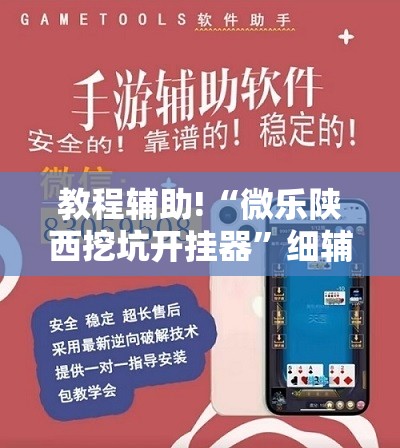 教程辅助!“微乐陕西挖坑开挂器”细辅助教程分享