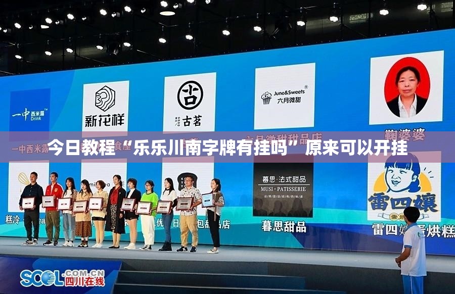 今日教程“乐乐川南字牌有挂吗	”原来可以开挂