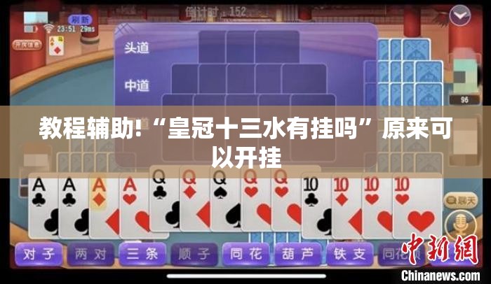 教程辅助!“皇冠十三水有挂吗	”原来可以开挂