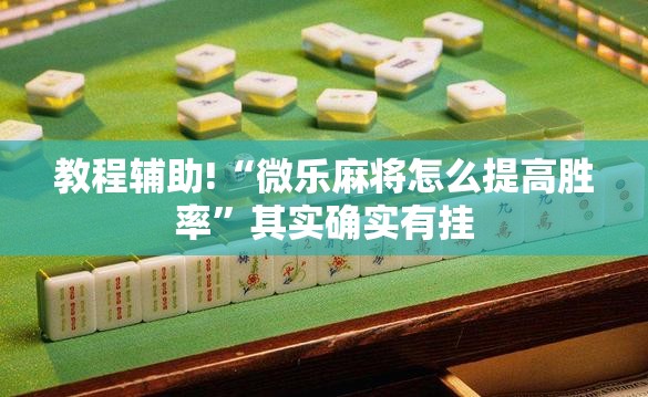 教程辅助!“微乐麻将怎么提高胜率”其实确实有挂