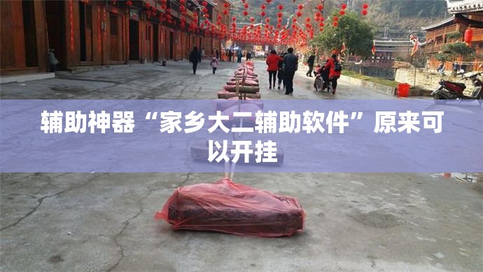 辅助神器“家乡大二辅助软件”原来可以开挂
