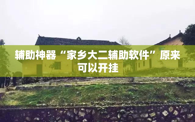 辅助神器“家乡大二辅助软件	”原来可以开挂