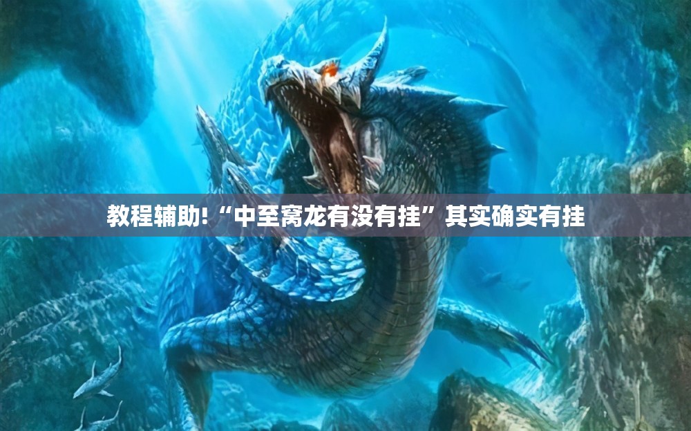 教程辅助!“中至窝龙有没有挂”其实确实有挂