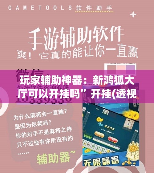 玩家辅助神器：新鸿狐大厅可以开挂吗”开挂(透视)辅助神器