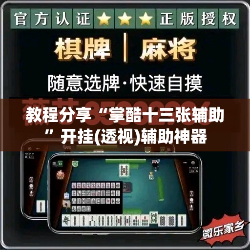 教程分享“掌酷十三张辅助	”开挂(透视)辅助神器