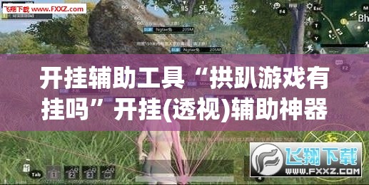 开挂辅助工具“拱趴游戏有挂吗”开挂(透视)辅助神器