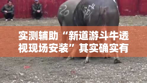 实测辅助“新道游斗牛透视现场安装	”其实确实有挂