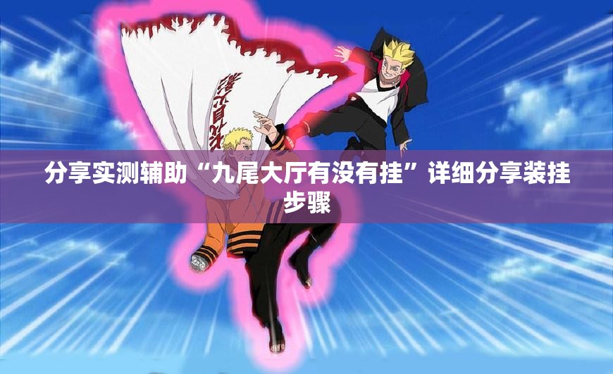 分享实测辅助“九尾大厅有没有挂”详细分享装挂步骤