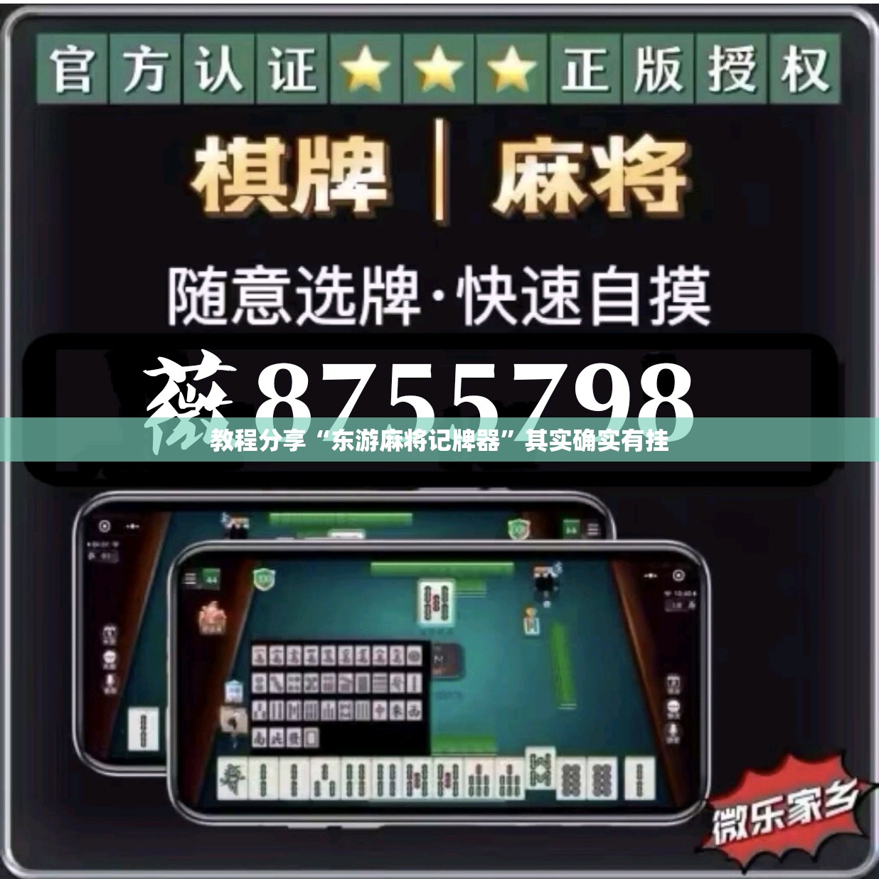教程分享“东游麻将记牌器”其实确实有挂
