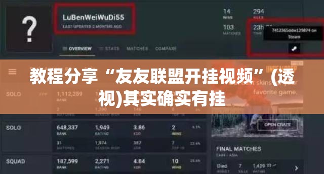 教程分享“友友联盟开挂视频”(透视)其实确实有挂
