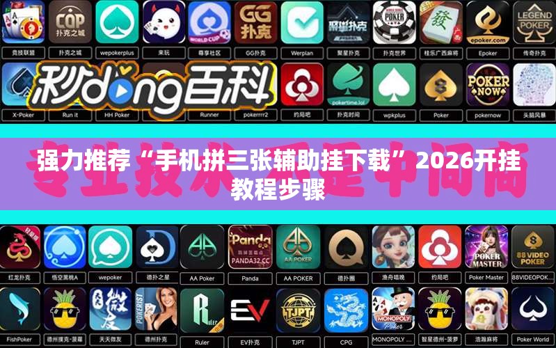 强力推荐“手机拼三张辅助挂下载”2026开挂教程步骤