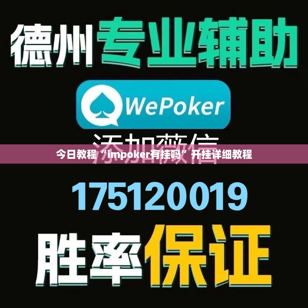 今日教程“impoker有挂吗”开挂详细教程