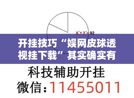 开挂技巧“娱网皮球透视挂下载	”其实确实有挂