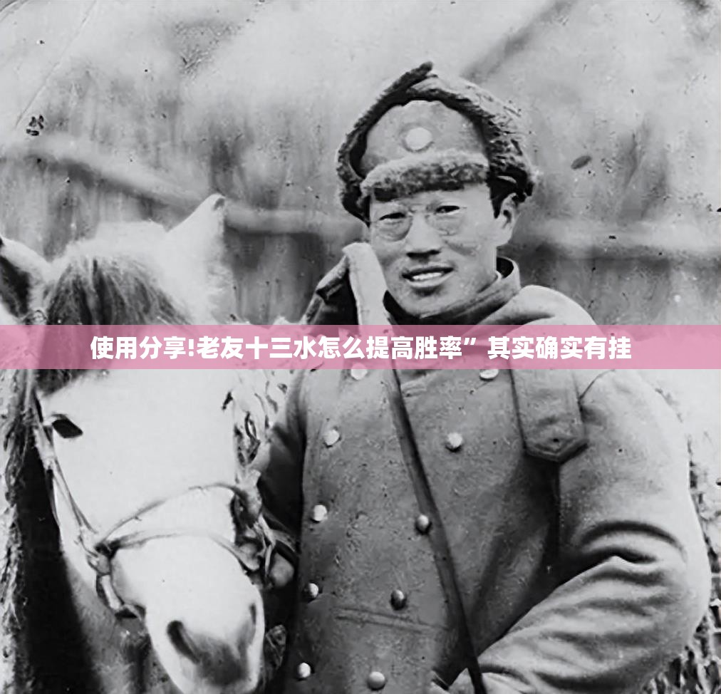 使用分享!老友十三水怎么提高胜率	”其实确实有挂