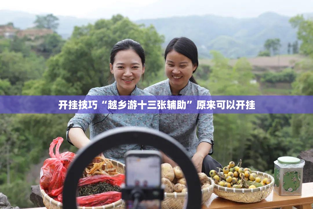 开挂技巧“越乡游十三张辅助”原来可以开挂
