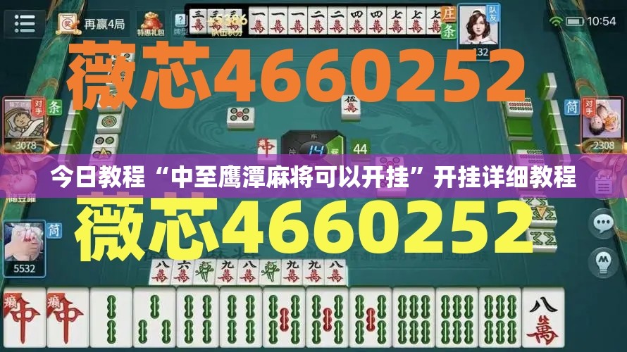 今日教程“中至鹰潭麻将可以开挂	”开挂详细教程