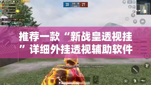 推荐一款“新战皇透视挂”详细外挂透视辅助软件教程
