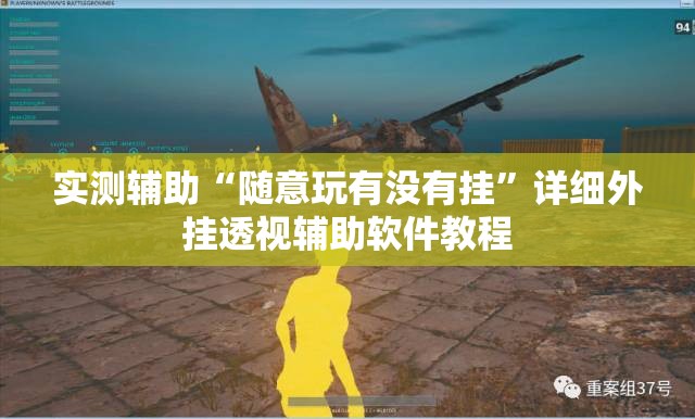 实测辅助“随意玩有没有挂”详细外挂透视辅助软件教程