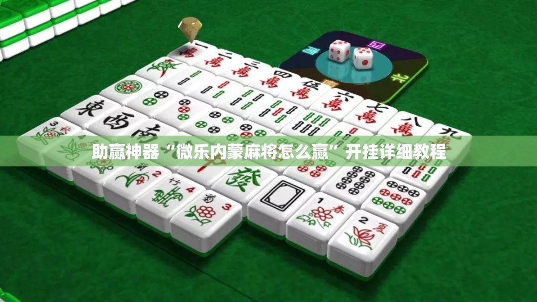 助赢神器“微乐内蒙麻将怎么赢”开挂详细教程
