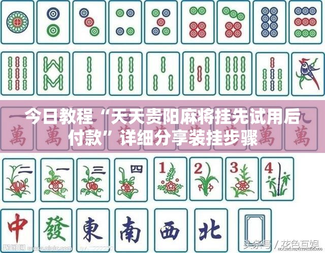 今日教程“天天贵阳麻将挂先试用后付款	”详细分享装挂步骤