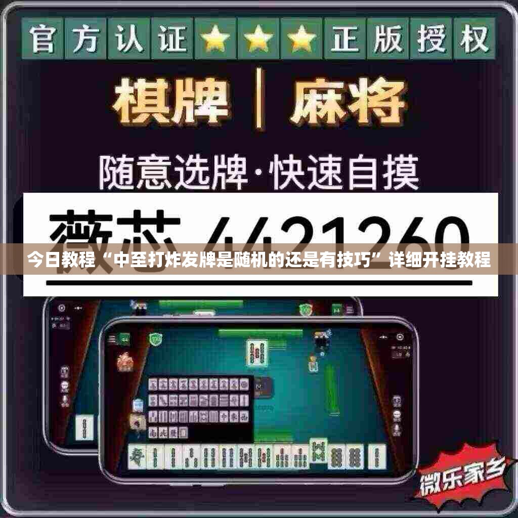 今日教程“中至打炸发牌是随机的还是有技巧”详细开挂教程
