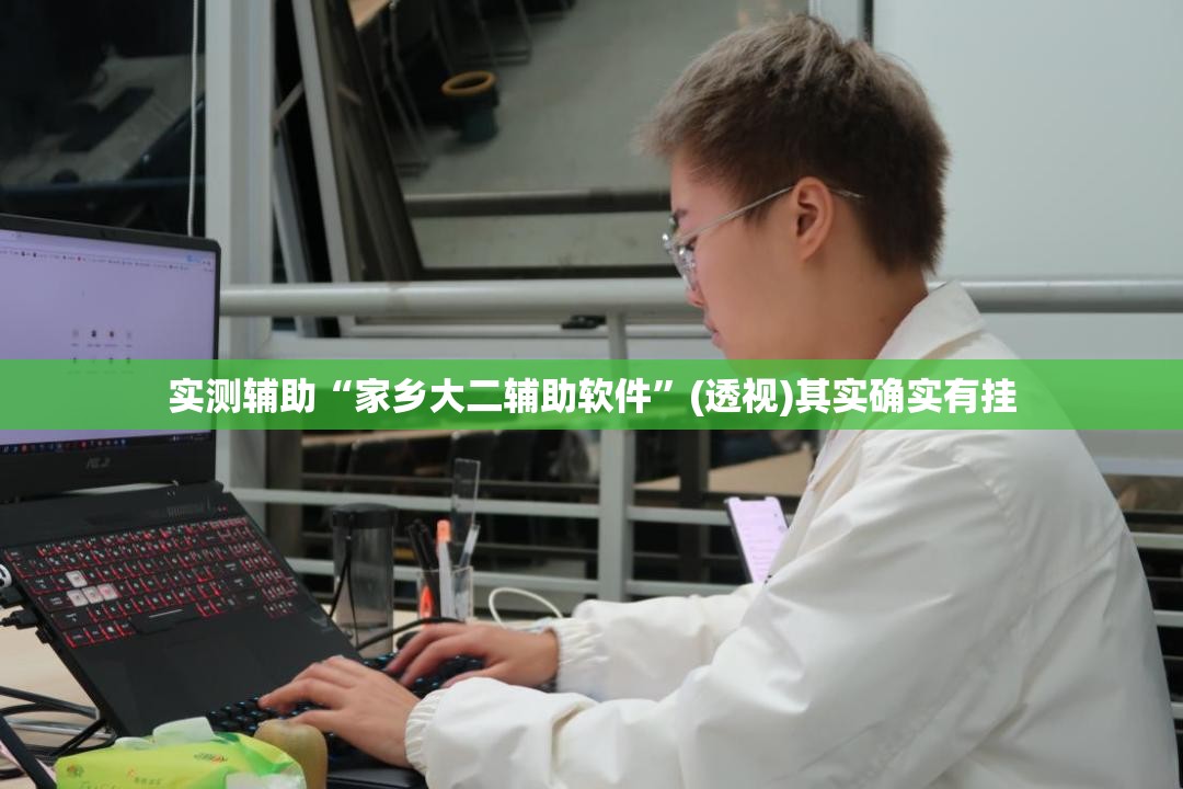 实测辅助“家乡大二辅助软件”(透视)其实确实有挂