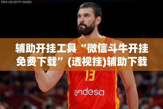 辅助开挂工具“微信斗牛开挂免费下载”(透视挂)辅助下载教程