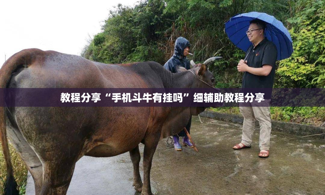 教程分享“手机斗牛有挂吗”细辅助教程分享