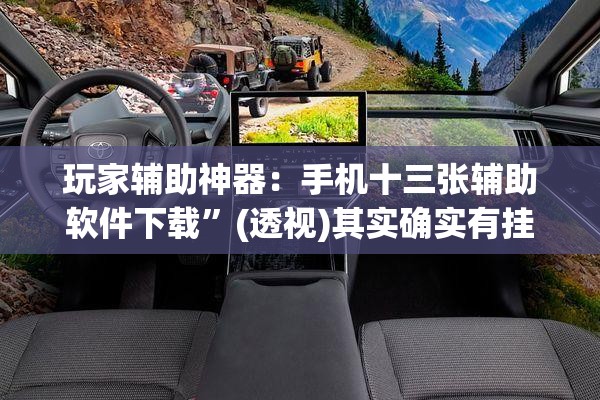玩家辅助神器：手机十三张辅助软件下载”(透视)其实确实有挂