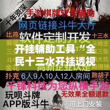 开挂辅助工具“全民十三水开挂透视	”科技辅助神器手机版