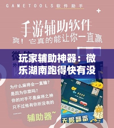 玩家辅助神器：微乐湖南跑得快有没有开挂神器	”细辅助教程分享