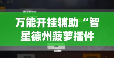 万能开挂辅助“智星德州菠萝插件教程”(透视)其实确实有挂