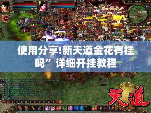 使用分享!新天道金花有挂吗”详细开挂教程