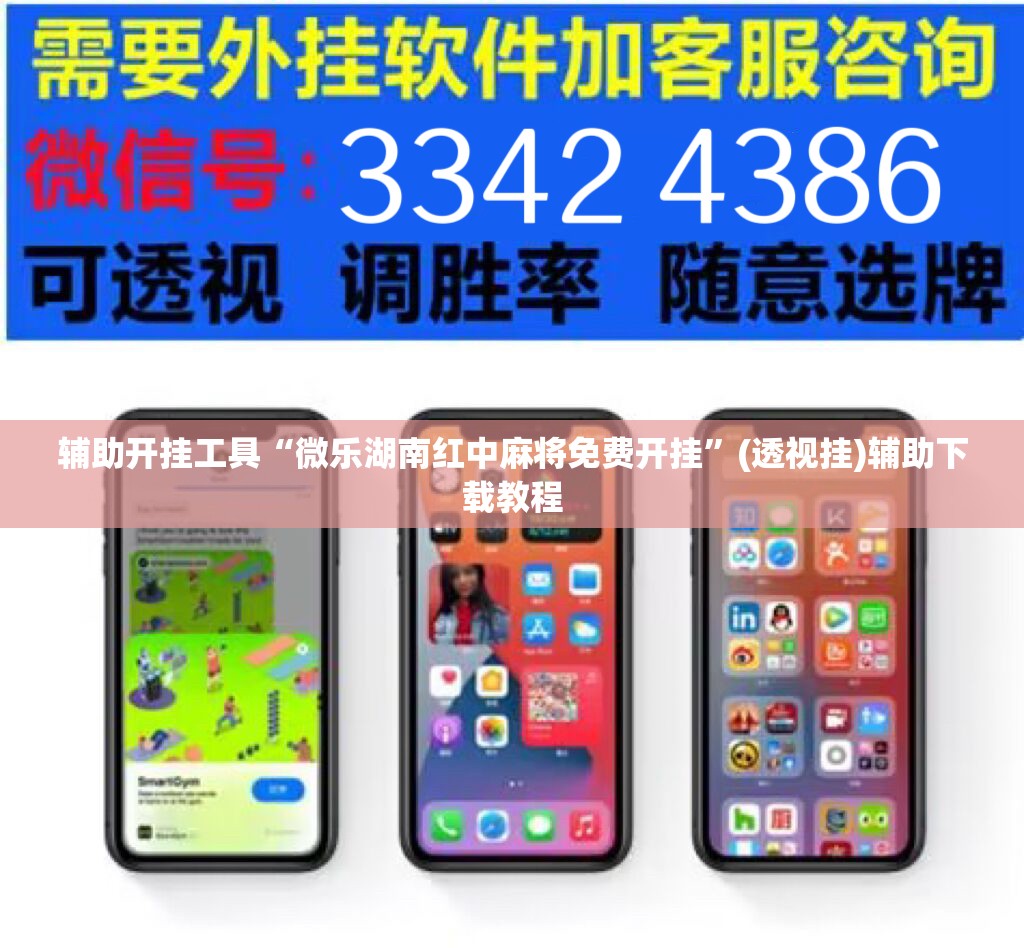 辅助开挂工具“微乐湖南红中麻将免费开挂	”(透视挂)辅助下载教程