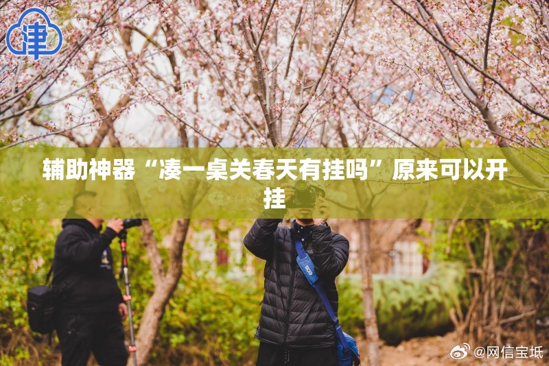 辅助神器“凑一桌关春天有挂吗”原来可以开挂