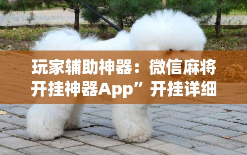 玩家辅助神器：微信麻将开挂神器App”开挂详细教程