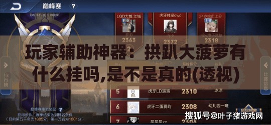 玩家辅助神器：拱趴大菠萝有什么挂吗,是不是真的(透视)	”开挂辅助脚本+详细开挂安装教程